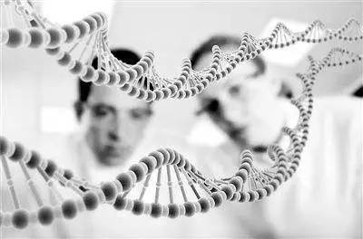 那些巨貴的 干細胞精華 是否有用