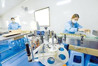 湖北真福醫藥公司工人在包裝產品