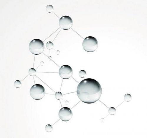 思柏樂(lè)凝聚健康生物科技