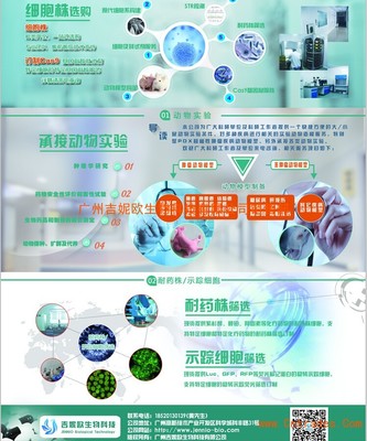 誘發(fā)性腫瘤動(dòng)物模型 吉妮歐生物科技