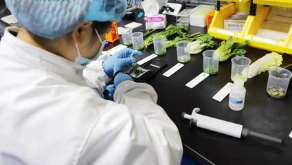 科技賦能食品安全,永輝加速建數(shù)字化生鮮工廠