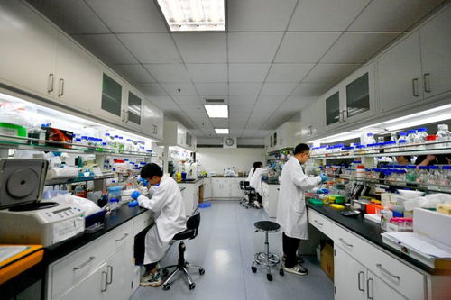 科技 二氧化碳再變身 中國科學家實現(xiàn)重大突破