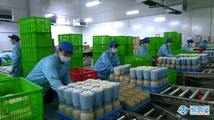 云霄 生物科技助力穩產保供，讓市民“菜籃子”拎得更穩