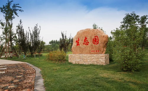 邯鄲這個地方出名了 黑色礦渣山逆襲成 綠富美 生態(tài)園