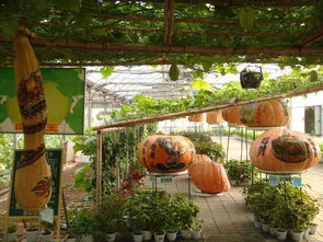 集發生態園之旅