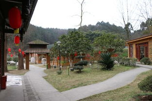 一日游耍起 彭州蝴蝶生態園