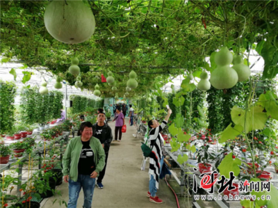 萬全辣椒小鎮(zhèn)豐收節(jié)亮相張家口市第二屆旅發(fā)大會(huì)生態(tài)園