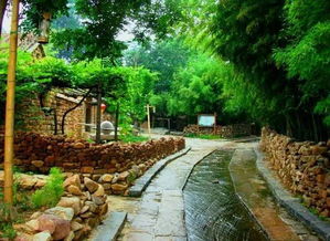 竹泉村與蘭陵生態(tài)園兩日游 探秘自然生態(tài)與人文風(fēng)情