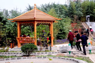 生態(tài)園新添景點(diǎn) 自然與人文的完美融合