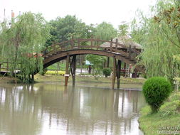 昆山生態(tài)園的木橋 連接自然與人文的詩意紐帶